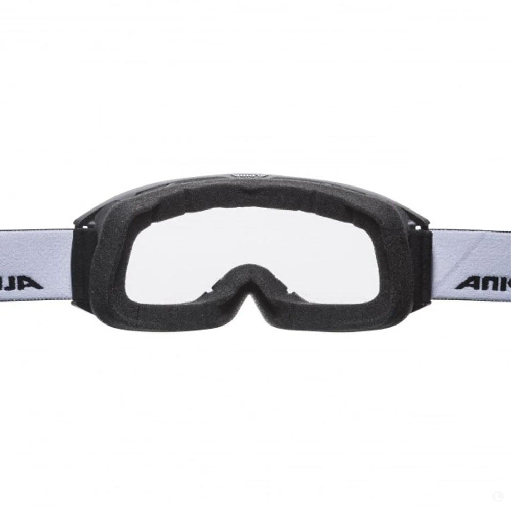 Маска горнолыжная Alpina Nakiska DH