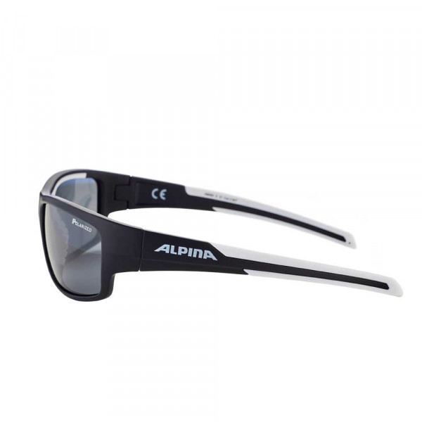 Солнцезащитные очки Alpina Testido R cat. 3