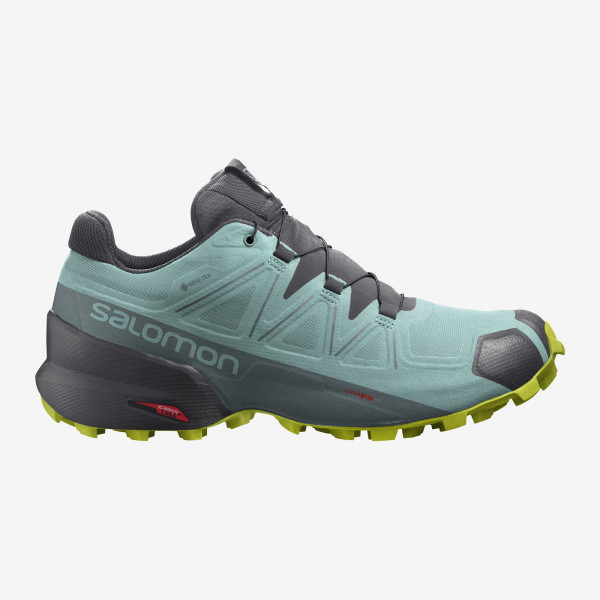 Кроссовки треккинговые женские Salomon Speedcross 5 gtx