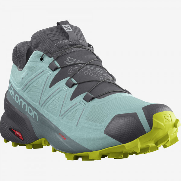 Кроссовки треккинговые женские Salomon Speedcross 5 gtx