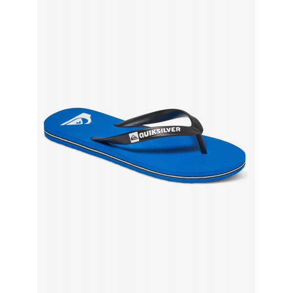 Мужские сланцы Quiksilver Molokai