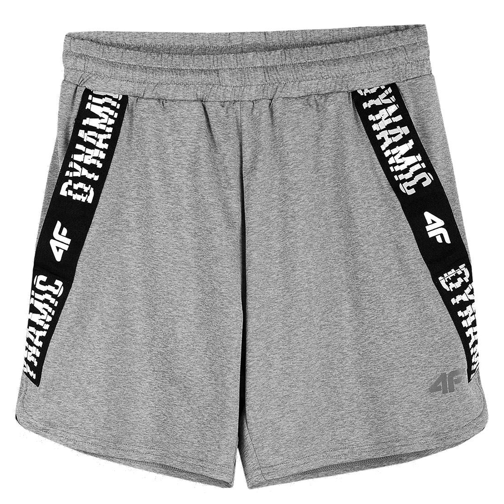 Шорты детские 4F серые