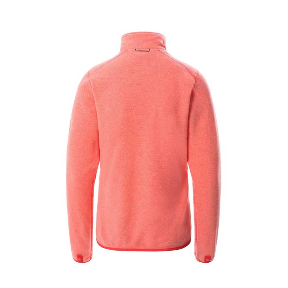 Кофта женская The North Face 100 glacier fz
