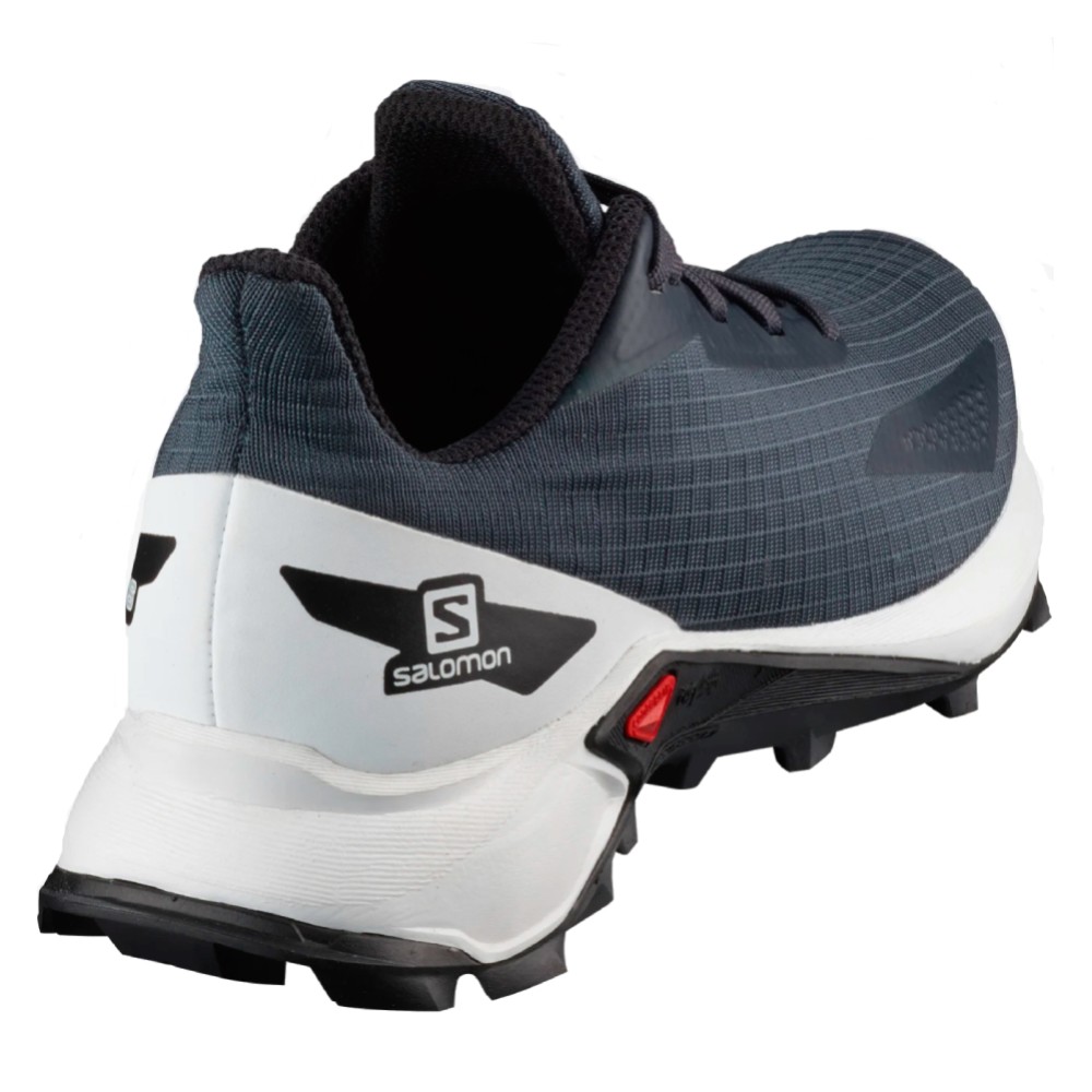 Треккинговые кроссовки детские Salomon Alphacross blast