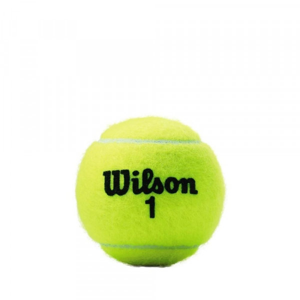 Мячи теннисные Wilson Championship x3