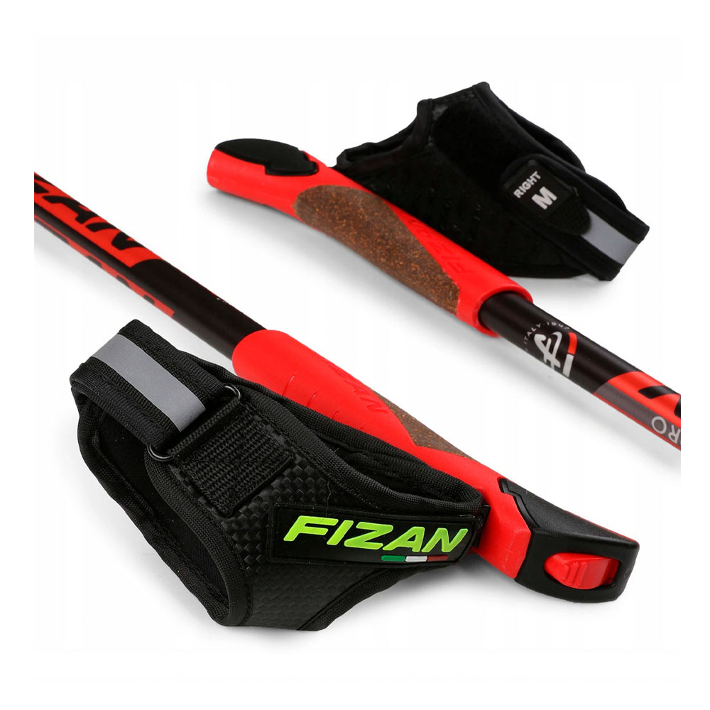 Трости Fizan Revolution Pro+Bag