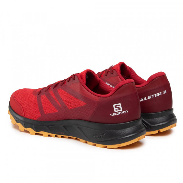 Треккинговые кроссовки мужские Salomon Trailster 2