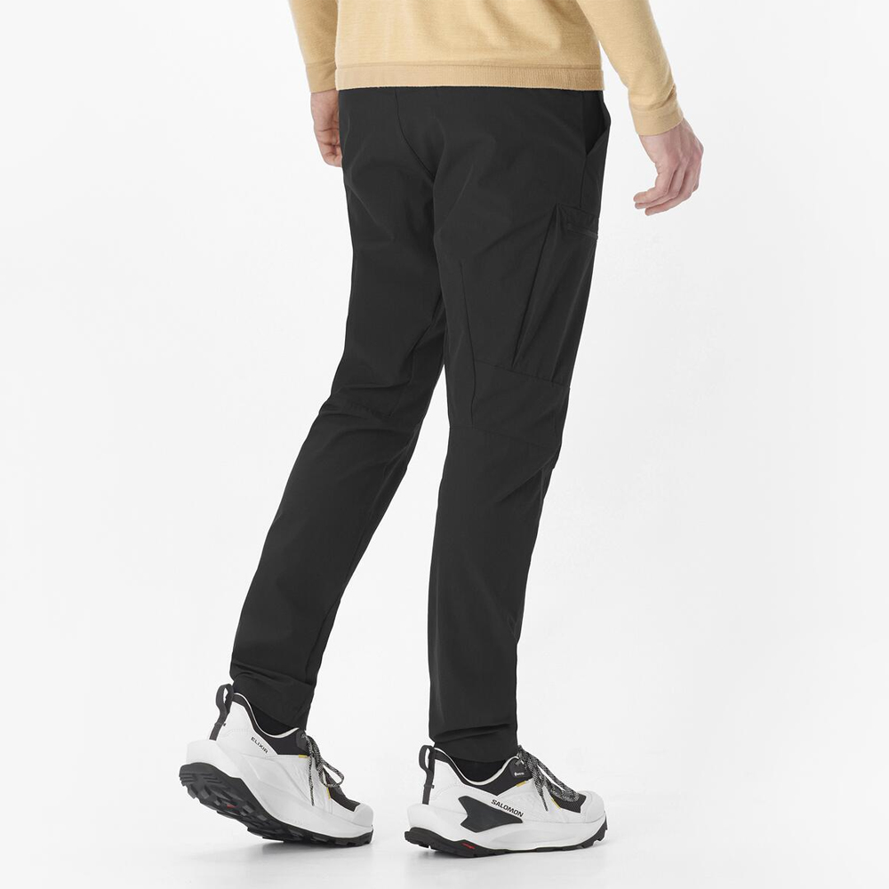 Треккинговые брюки мужские Salomon Wayfarer tapered Треккинговые брюки мужские Salomon Wayfarer tapered