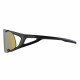 Солнцезащитные очки Alpina Hawkeye Q-Lite bronce