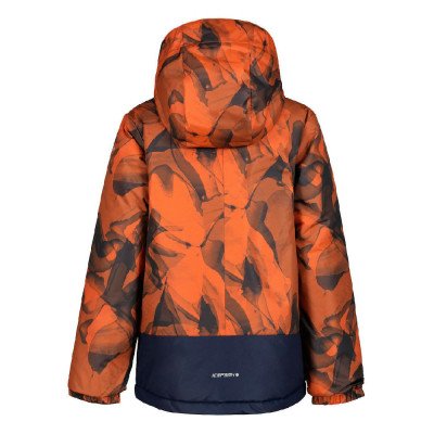 Куртка горнолыжная детская Icepeak B Lutcher Jr Куртка горнолыжная детская Icepeak B Lutcher Jr