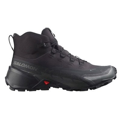 Треккинговые ботинки мужские Salomon Cross hike mid gtx 2