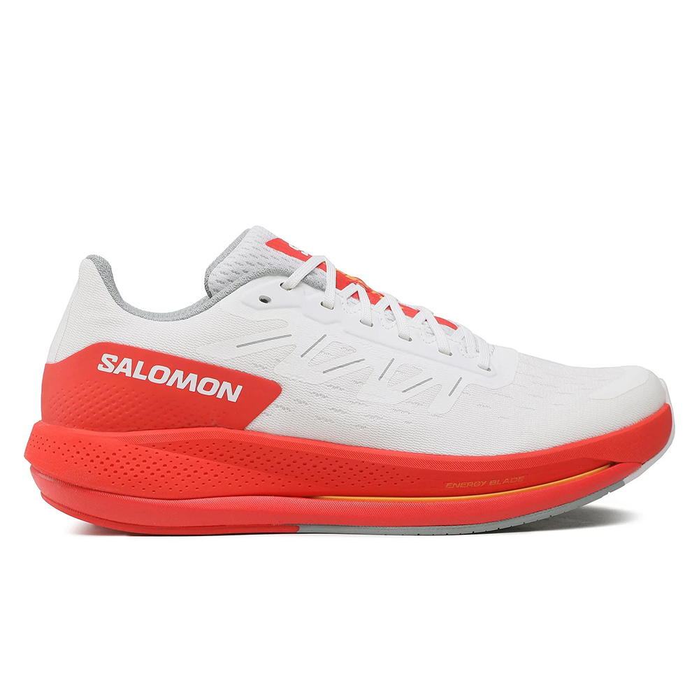 Кроссовки беговые мужские Salomon Spectur