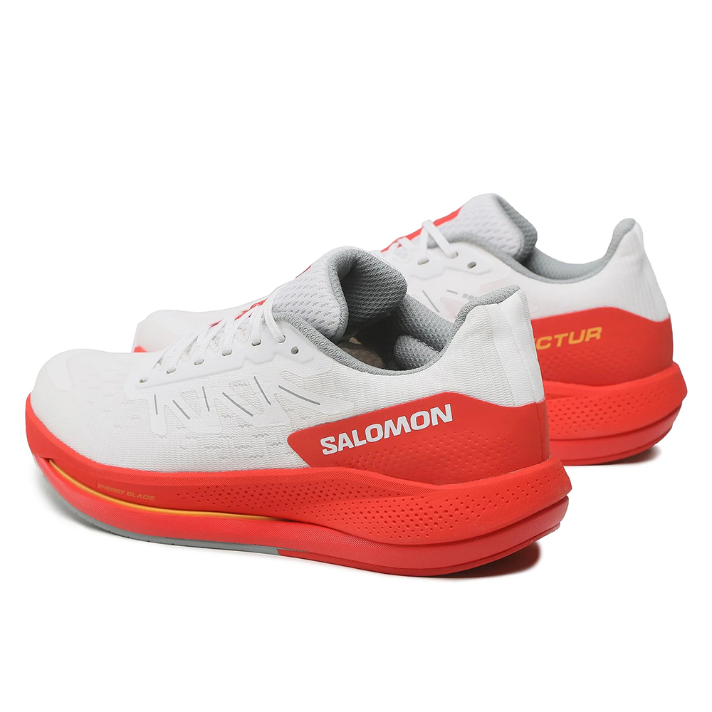 Кроссовки беговые мужские Salomon Spectur