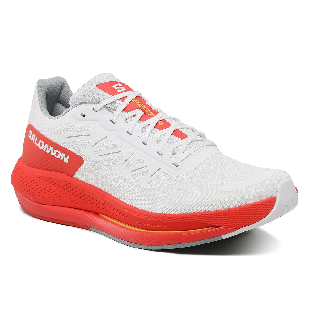 Кроссовки беговые мужские Salomon Spectur
