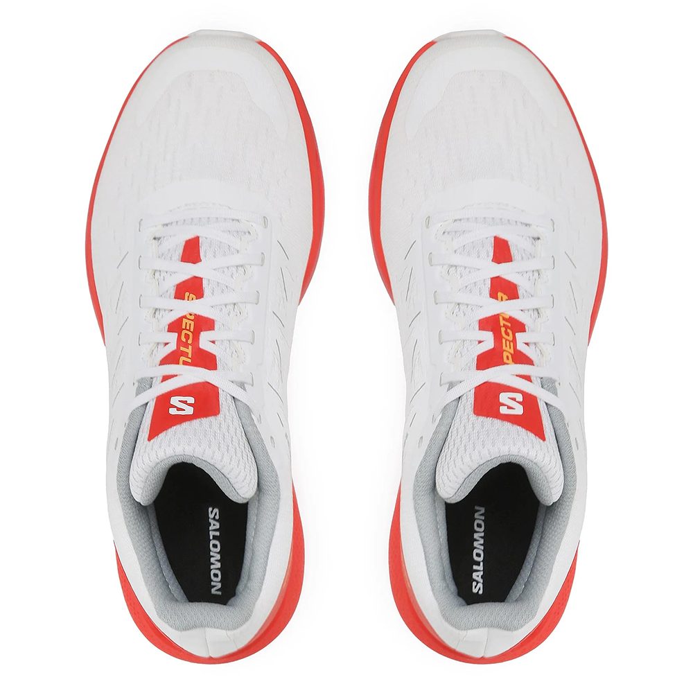 Кроссовки беговые мужские Salomon Spectur