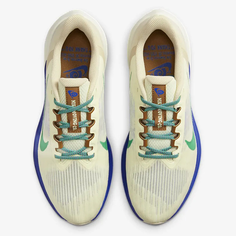 Кроссовки беговые мужские Nike Air Winflo 9 PRM