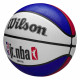 Мяч баскетбольный Wilson NBA JR DRV Light Fam Logo