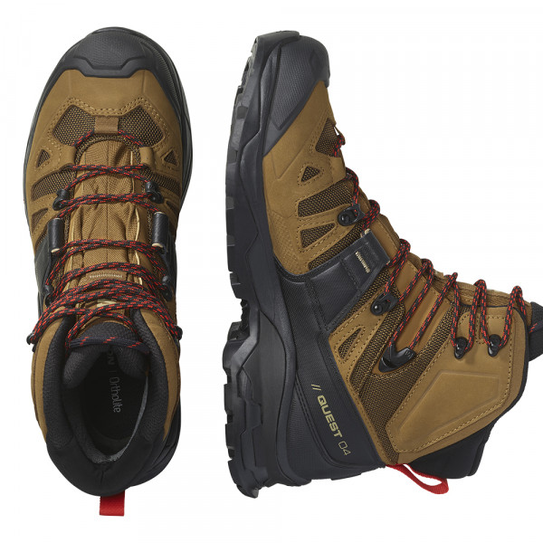 Треккинговые ботинки мужские Salomon Quest 4 gtx