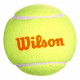 Мячи теннисные Wilson Started Orange x3