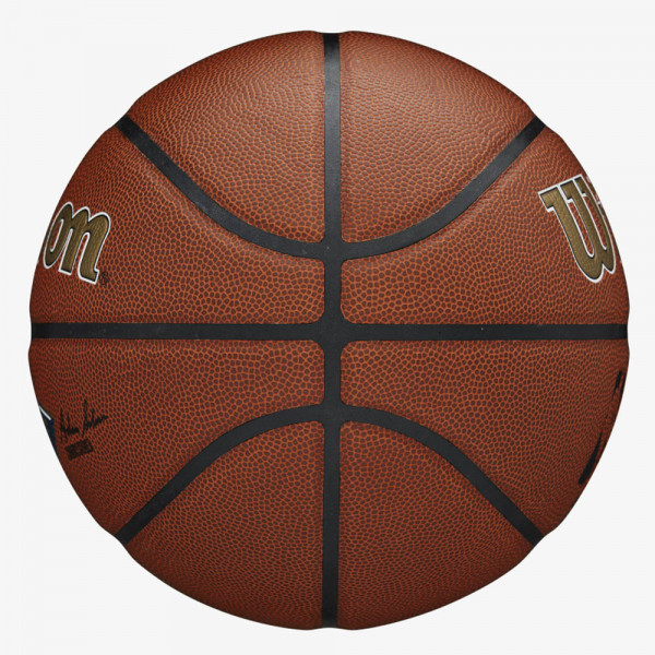 Мяч баскетбольный Wilson NBA Team Alliance New Orleans Pelicans