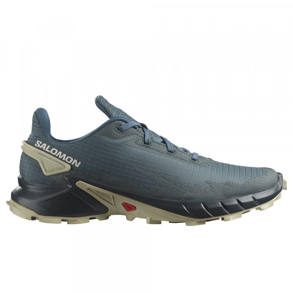 Треккинговые кроссовки мужские Salomon Alphacross 4