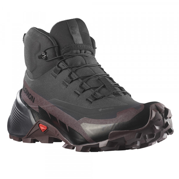 Треккинговые ботинки женские Salomon Cross hike mid gtx 2