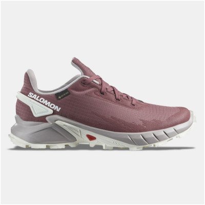 Кроссовки женские Salomon Alphacross 4 gtx Кроссовки женские Salomon Alphacross 4 gtx