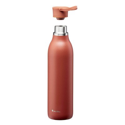 Термобутылка Aladdin Cityloop 0,6 терракотовый