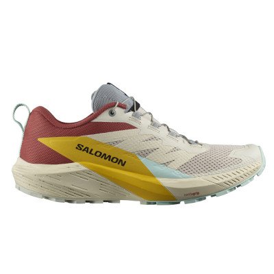 Кроссовки для бега мужские Salomon Sense ride 5