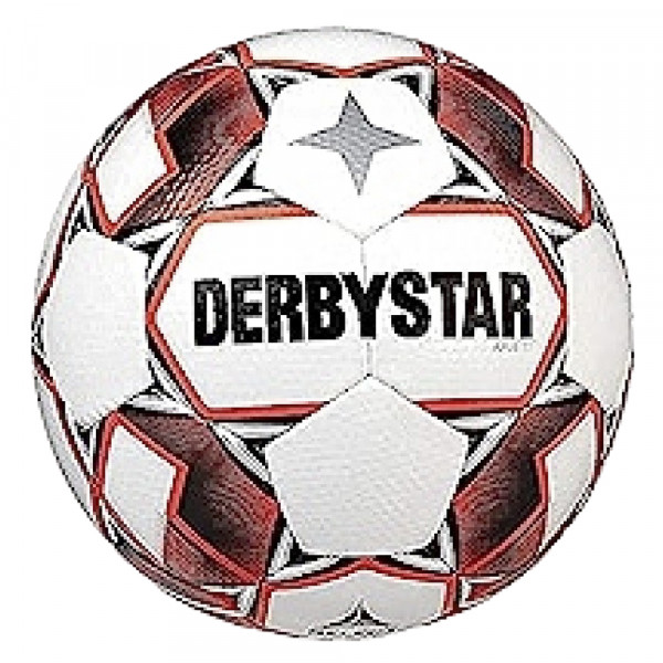 Мяч  футбольный Derbystar Ergo TT