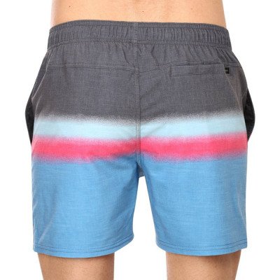 Шорты пляжные мужские Rip Curl Surf Шорты пляжные мужские Rip Curl Surf