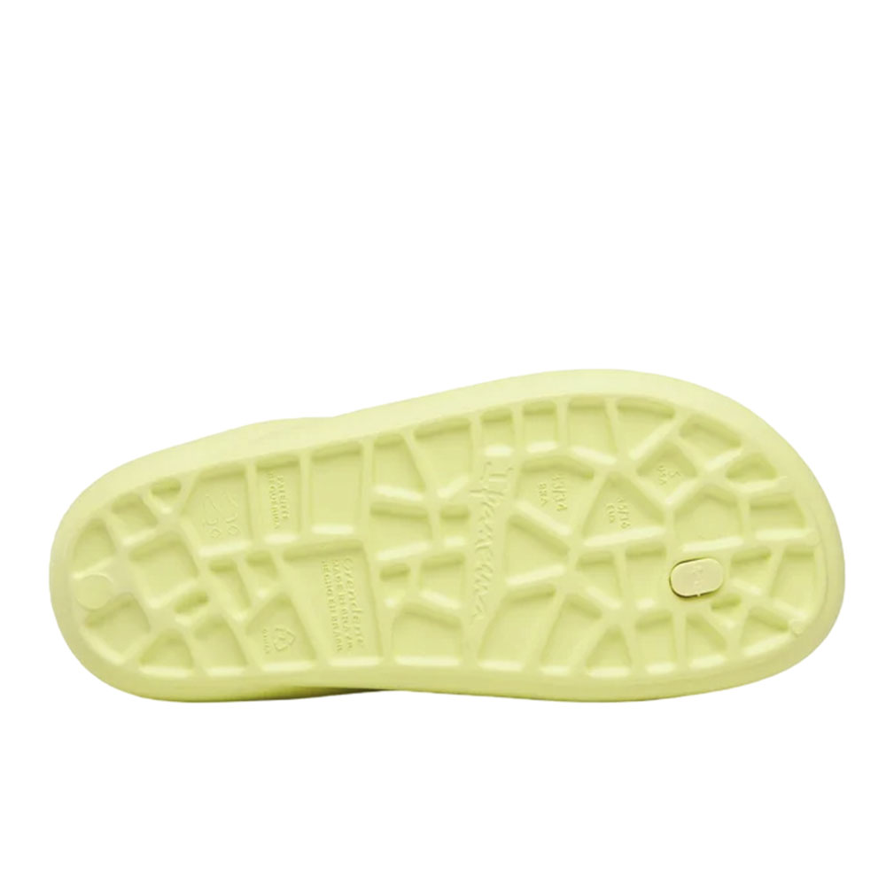 Сланцы женские Ipanema Bliss