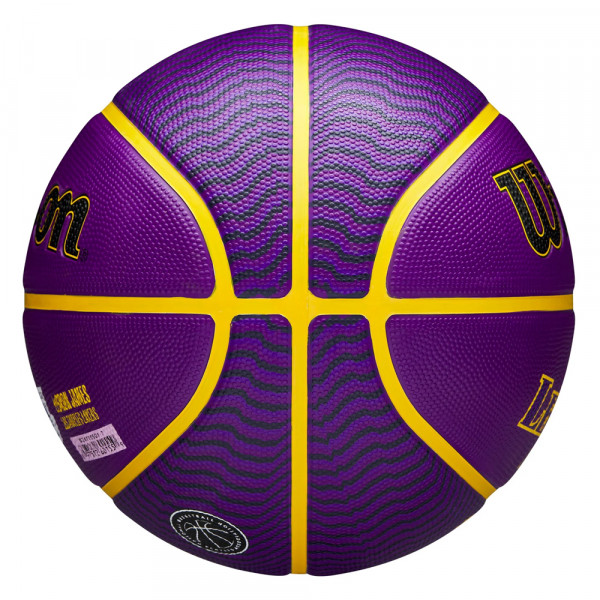 Мяч баскетбольный Wilson NBA Player Icon Outdoor Lebron