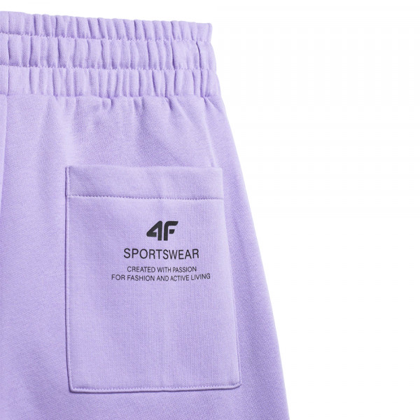 Спортивные брюки женские 4F Sportstyle