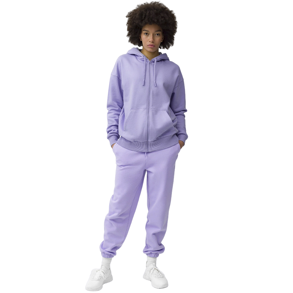 Спортивные брюки женские 4F Sportstyle фиолетовые