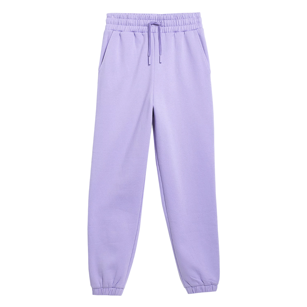 Спортивные брюки женские 4F Sportstyle фиолетовые