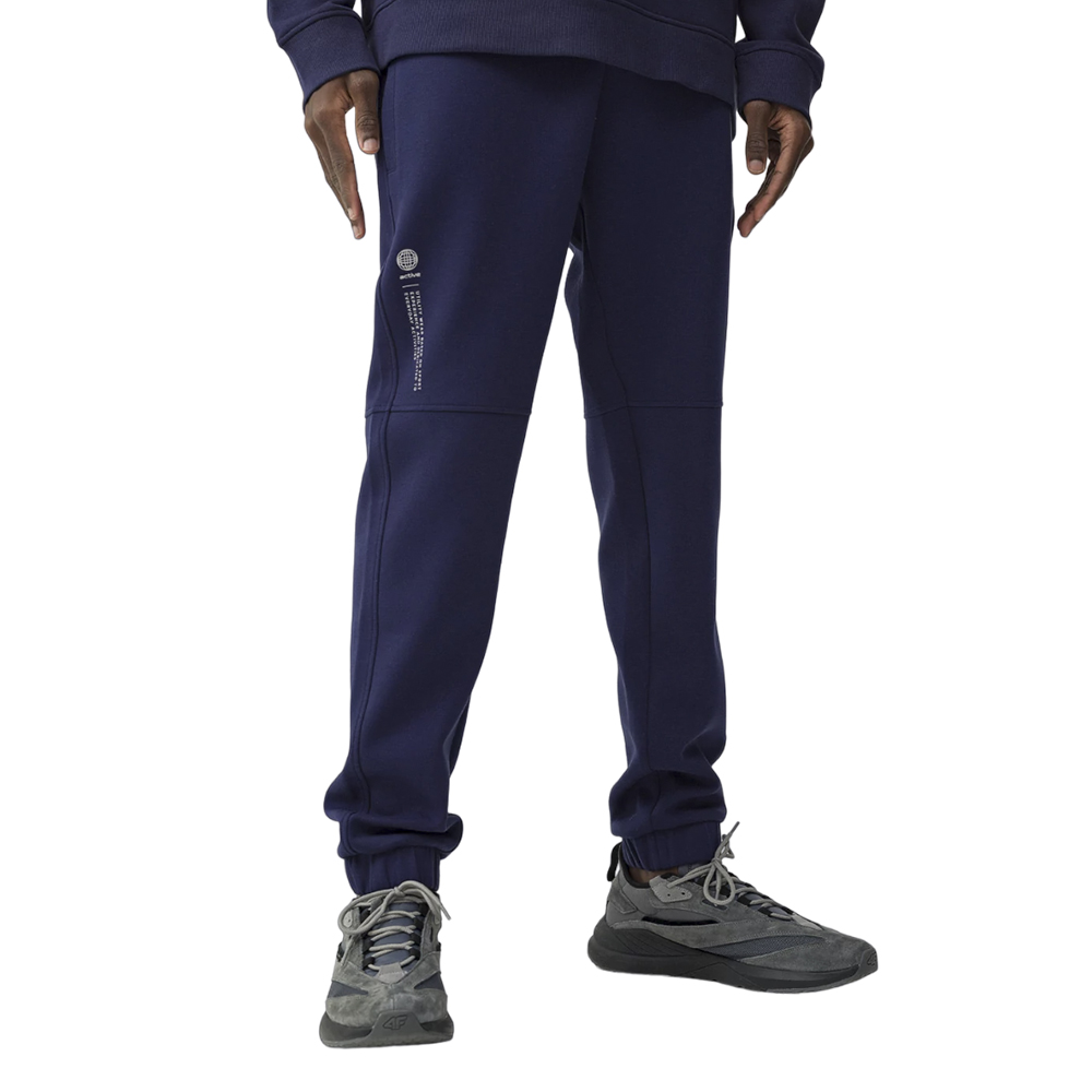 Спортивные брюки мужские 4F Sportstyle синие