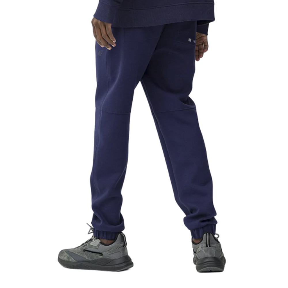 Спортивные брюки мужские 4F Sportstyle синие