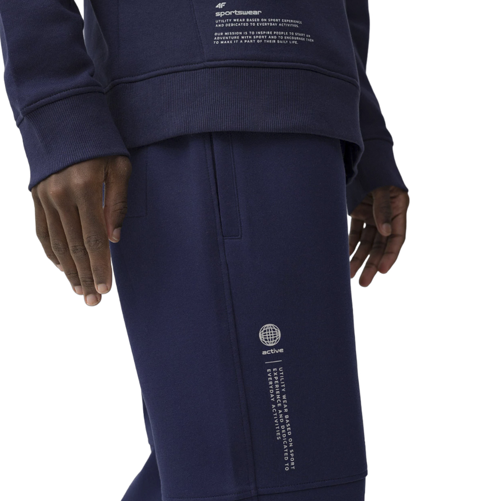 Спортивные брюки мужские 4F Sportstyle синие