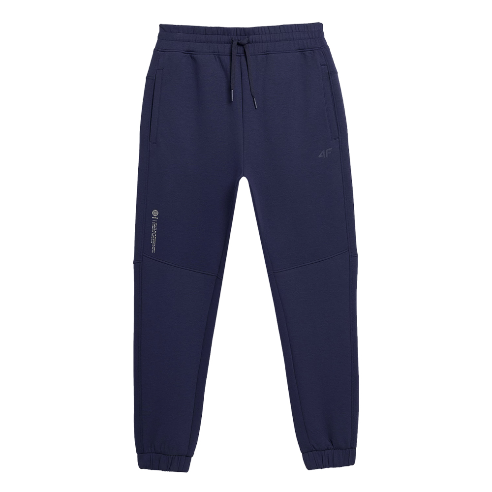 Спортивные брюки мужские 4F Sportstyle синие