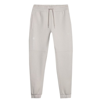 Спортивные брюки мужские 4F Sportstyle бежевые
