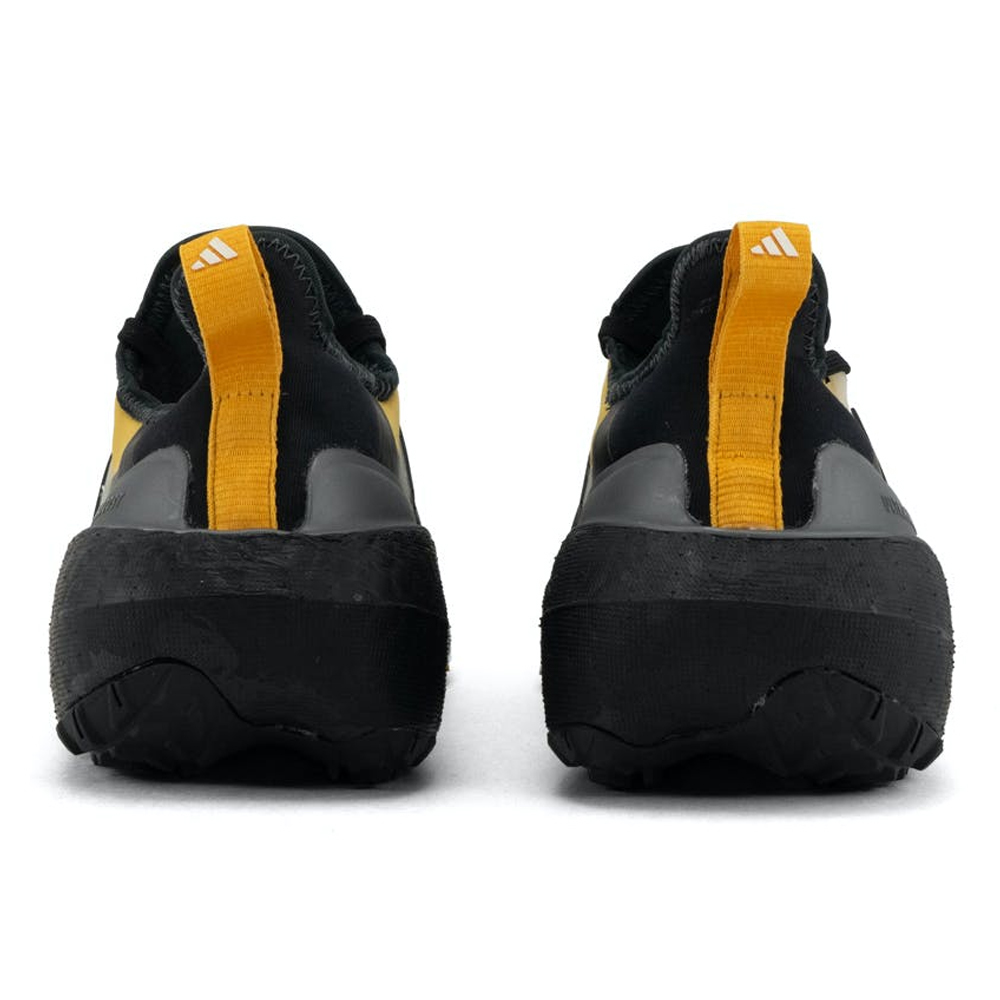 Кроссовки для бега женские Adidas Ultraboost light GTX