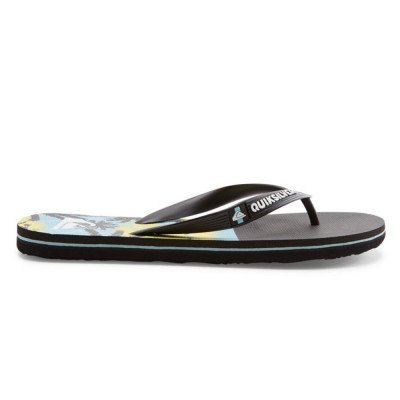 Сланцы мужские Quiksilver Molokai Panel M Sndl