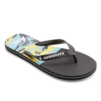 Сланцы мужские Quiksilver Molokai Panel M Sndl Сланцы мужские Quiksilver Molokai Panel M Sndl