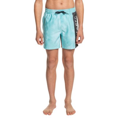 Шорты детские Quiksilver Acid Wash 14 B Jamv Шорты детские Quiksilver Acid Wash 14 B Jamv