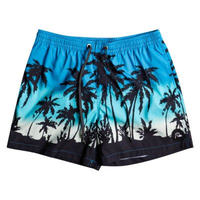 Шорты мужские Quiksilver Paradise 15 M Jamv Шорты мужские Quiksilver Paradise 15 M Jamv