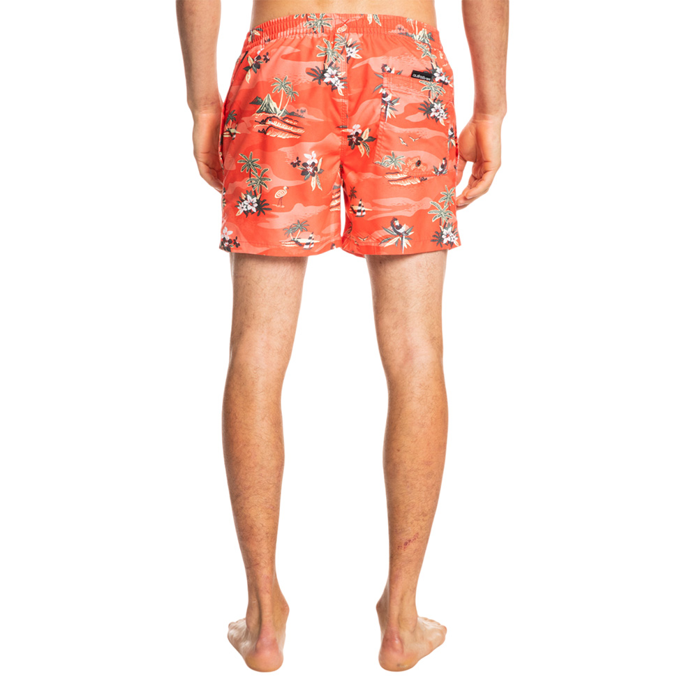 Шорты мужские Quiksilver Scenic 15 M Jamv