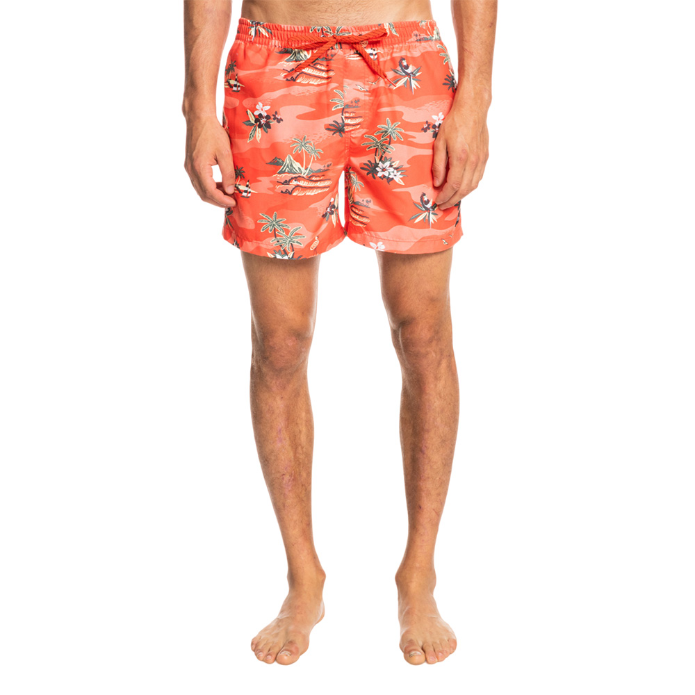 Шорты мужские Quiksilver Scenic 15 M Jamv