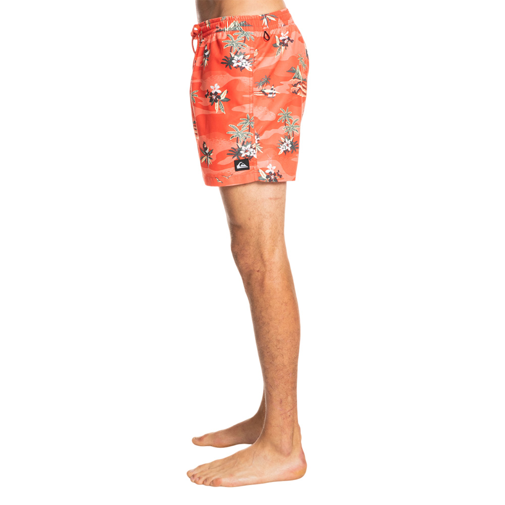 Шорты мужские Quiksilver Scenic 15 M Jamv