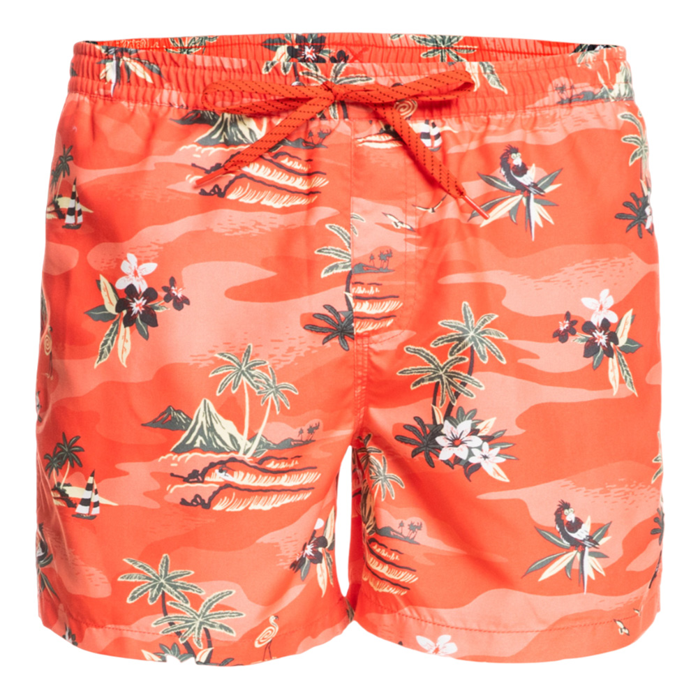 Шорты мужские Quiksilver Scenic 15 M Jamv